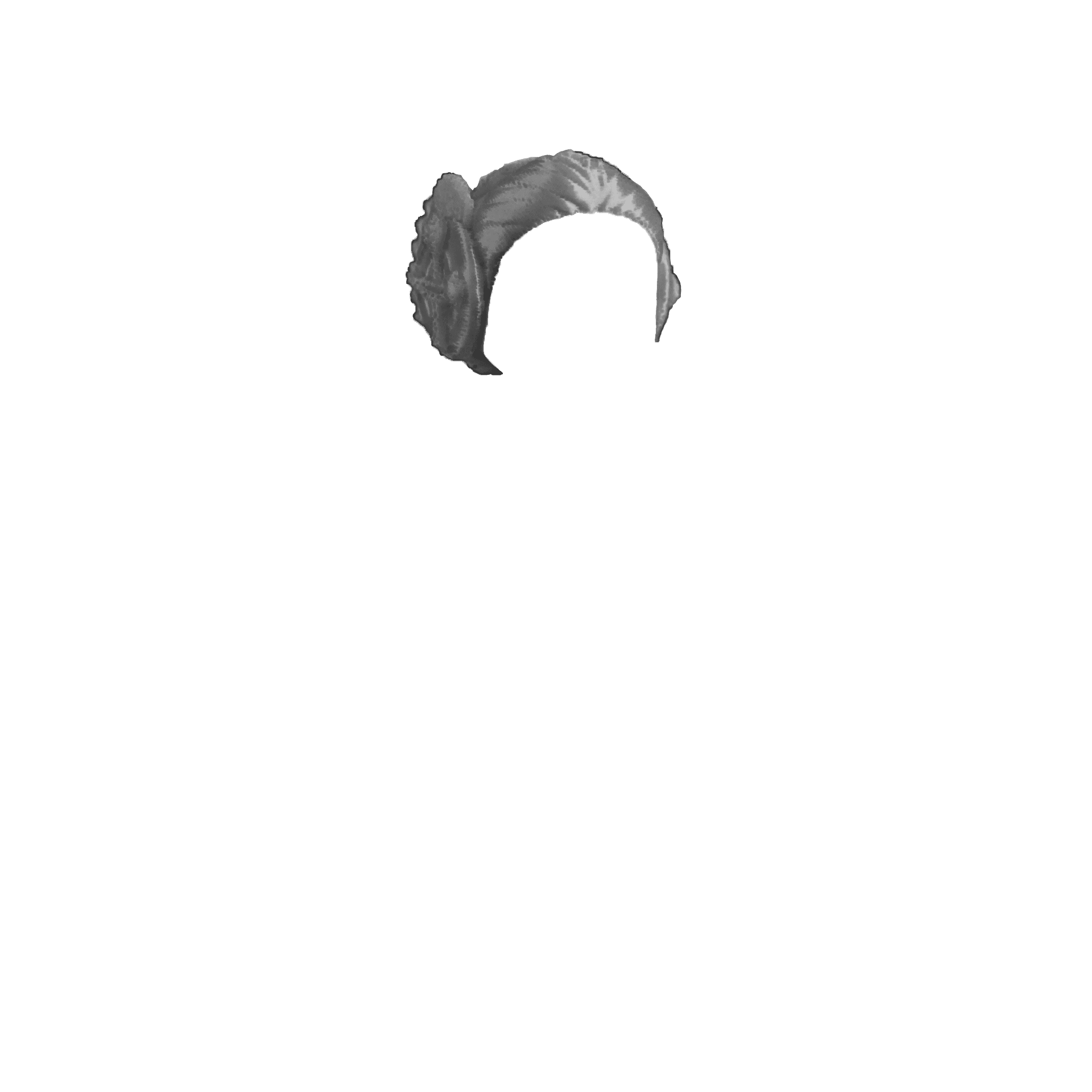 Pelo